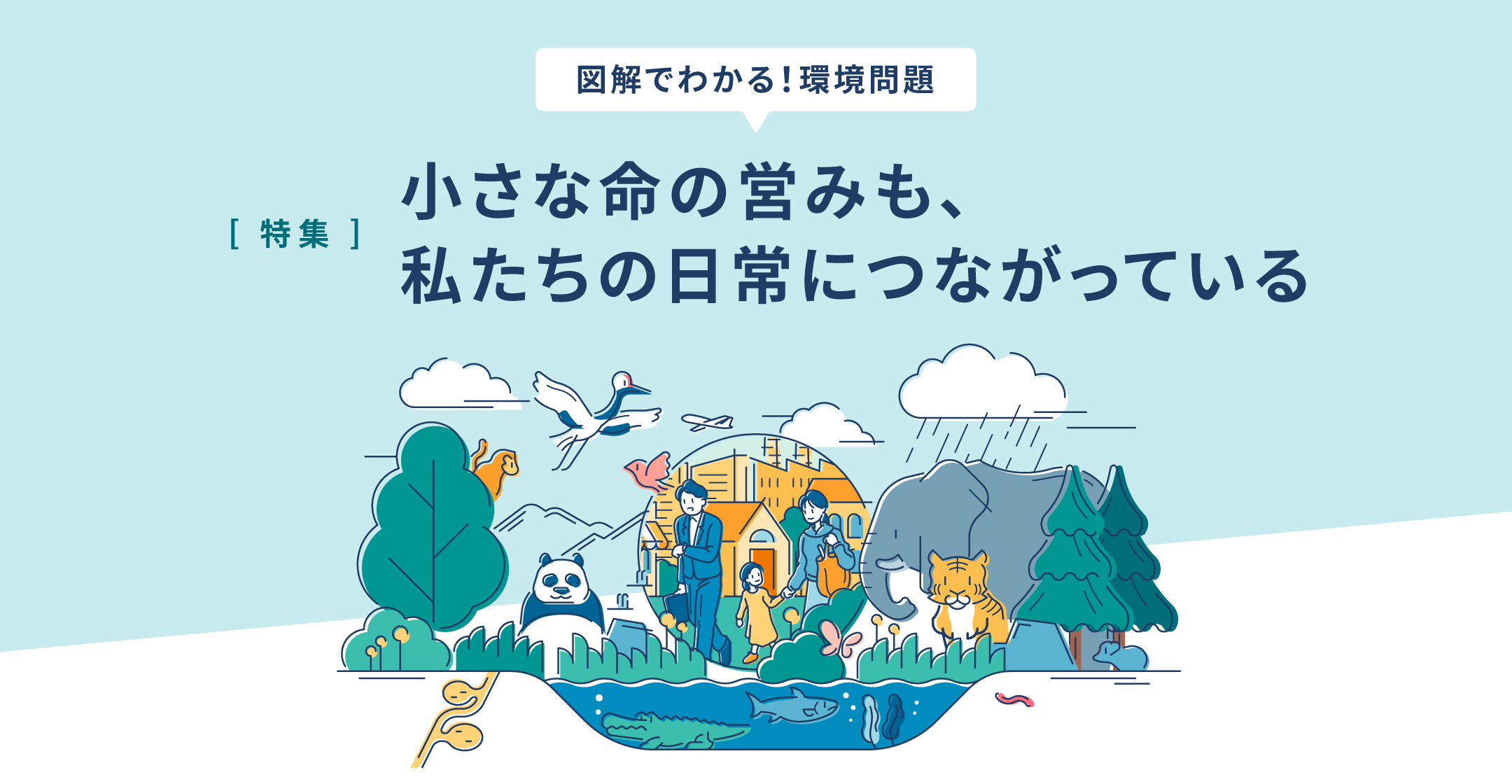 特集