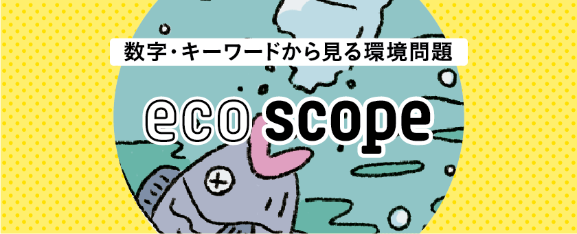 数字・キーワードから見る環境問題　eco scope
